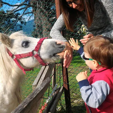Farm stay Riondel
